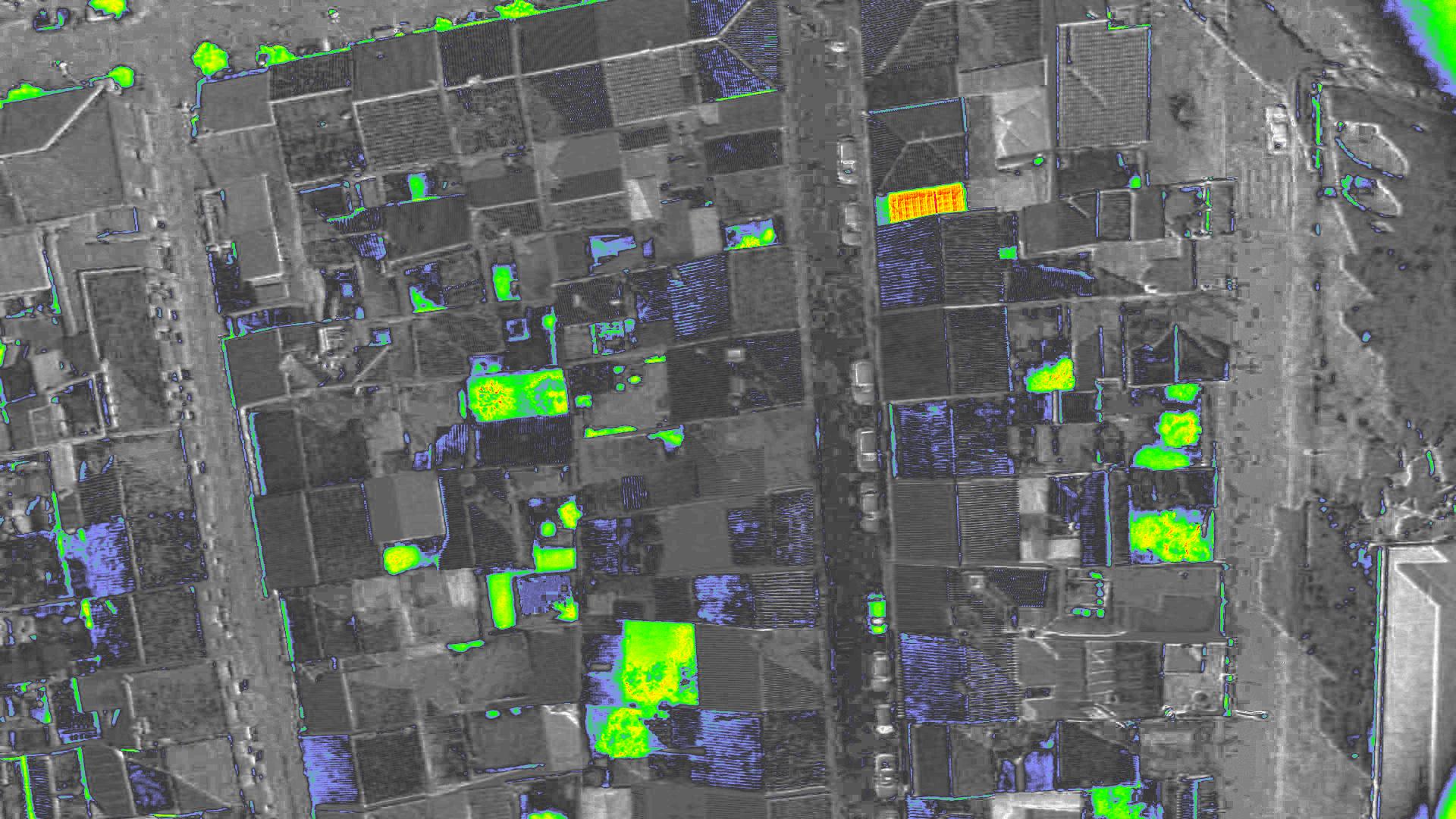 NDVI