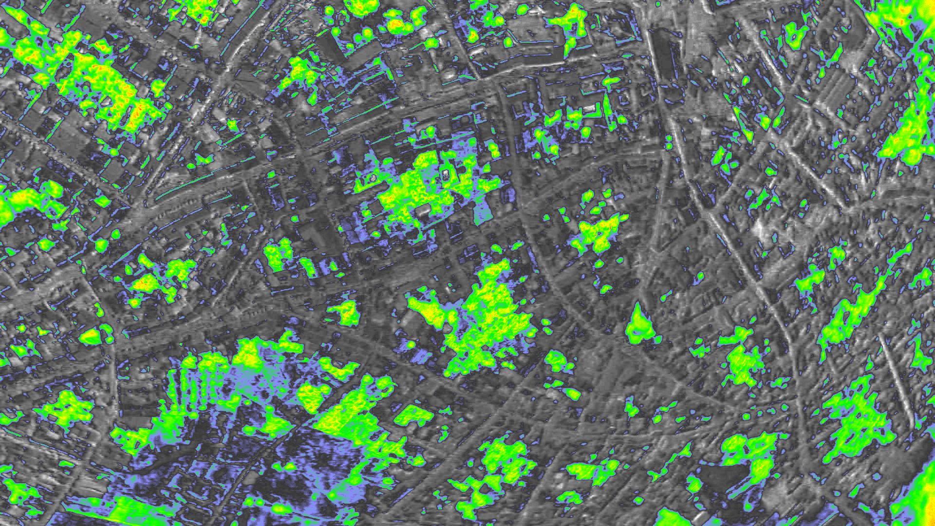 NDVI