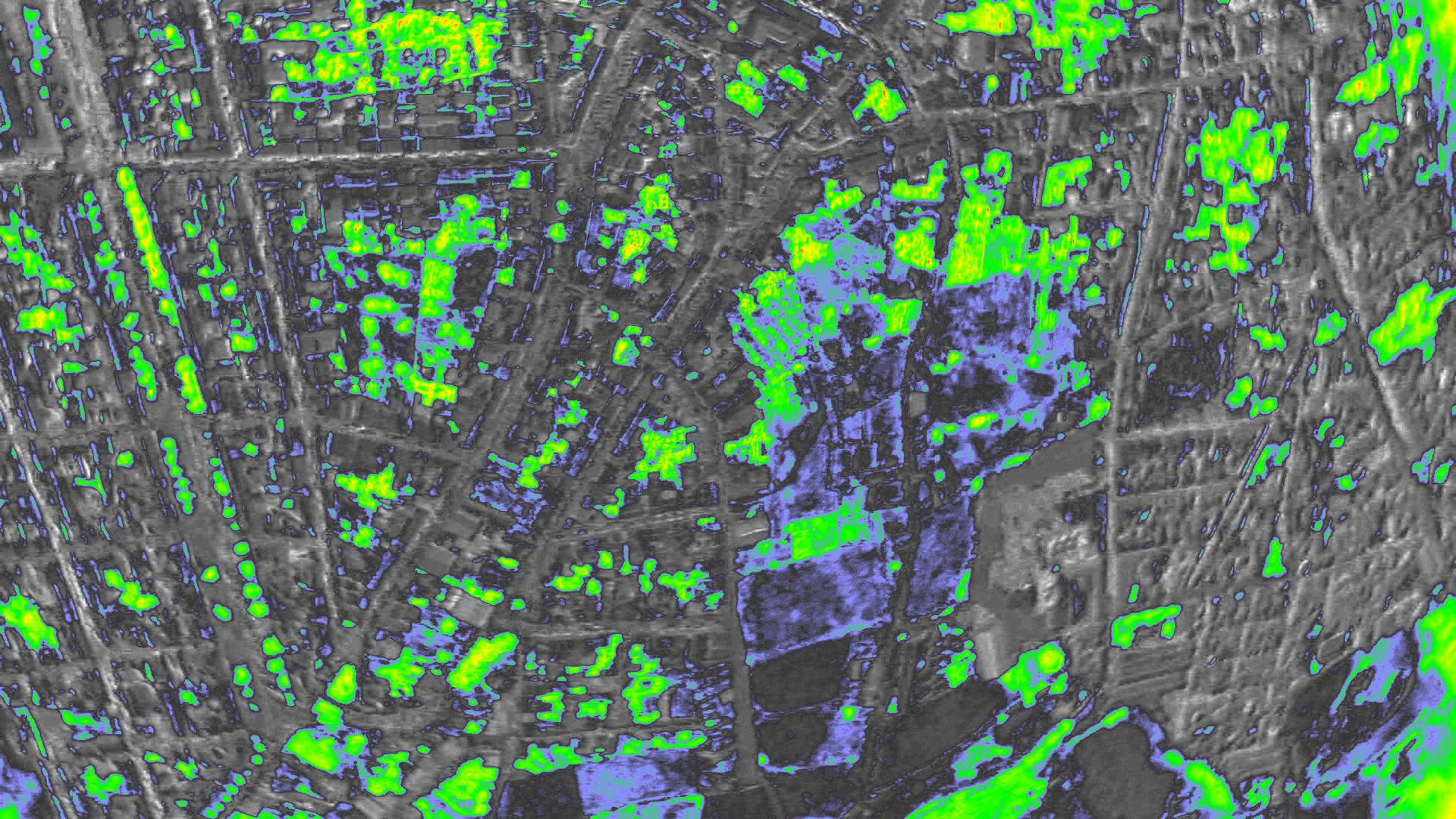 NDVI