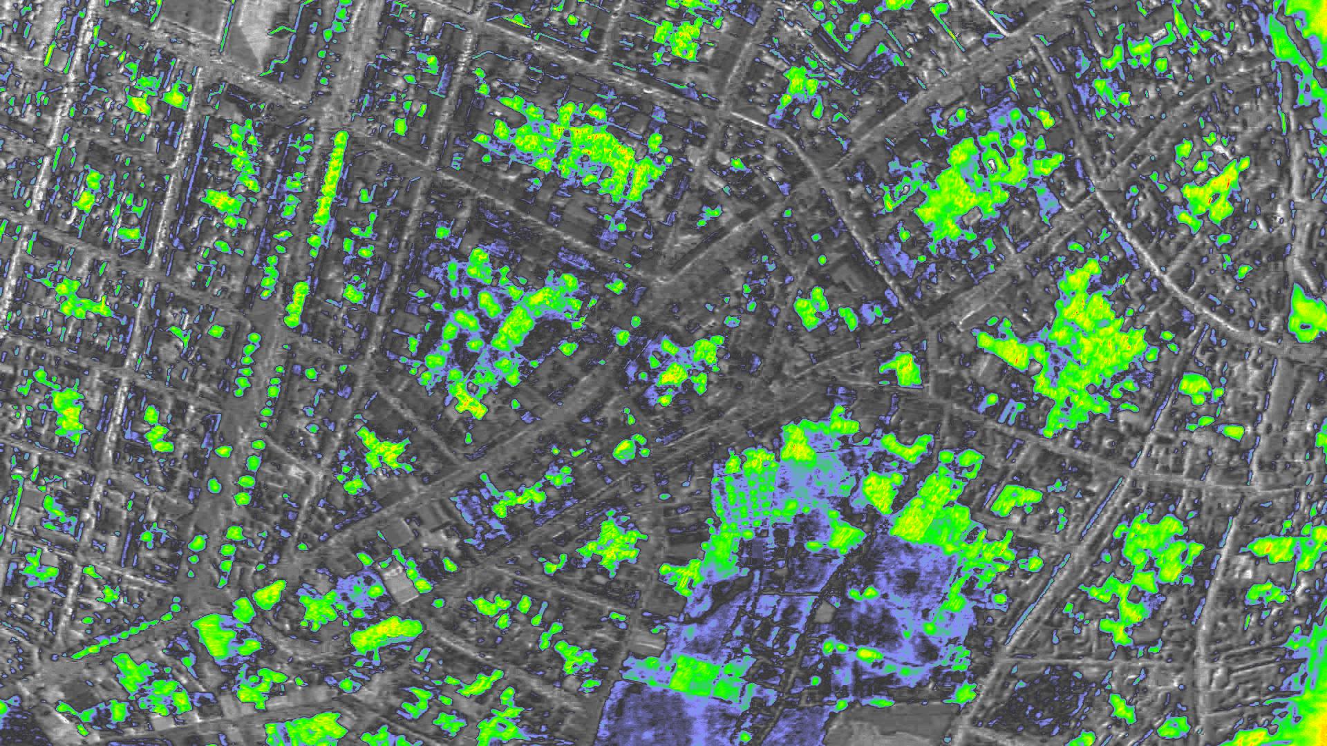 NDVI
