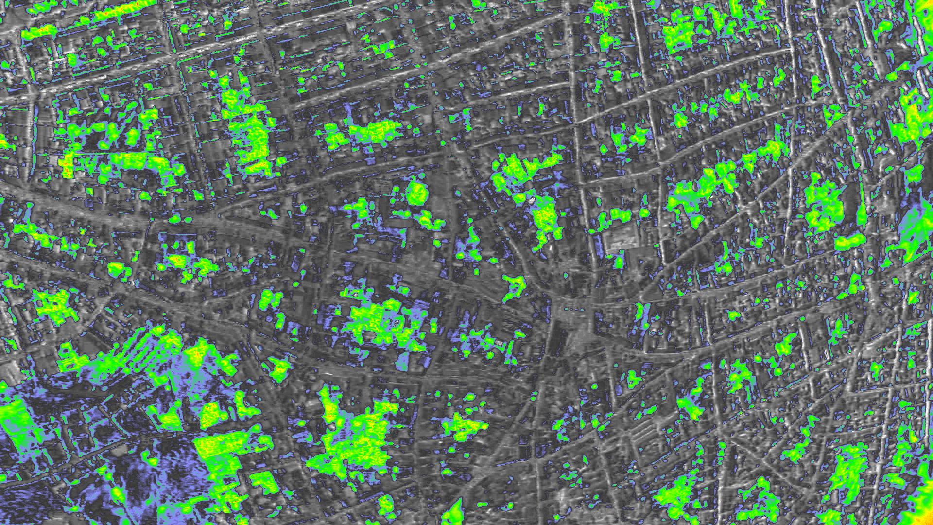 NDVI