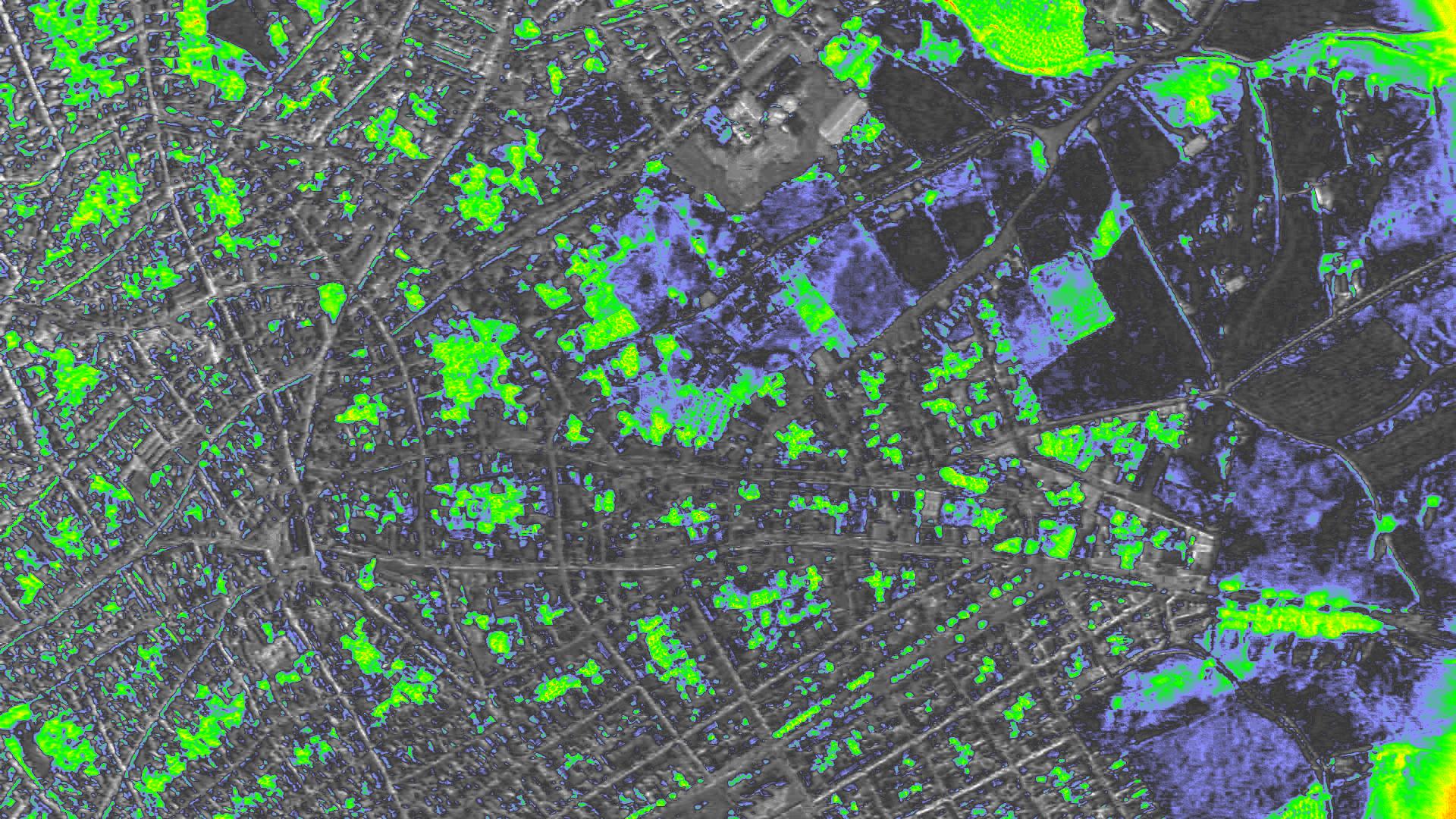 NDVI