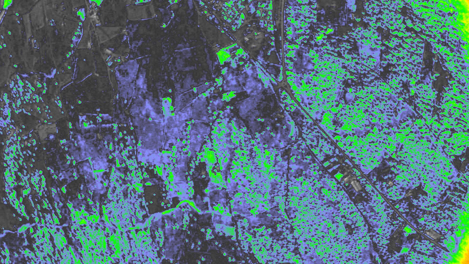 NDVI