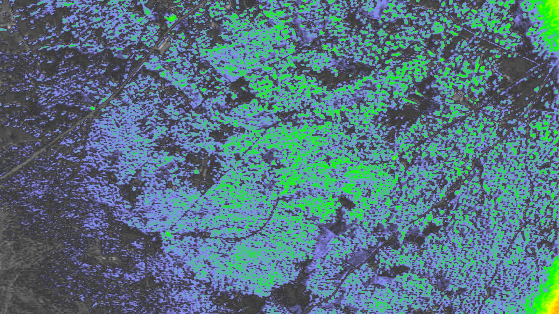 NDVI