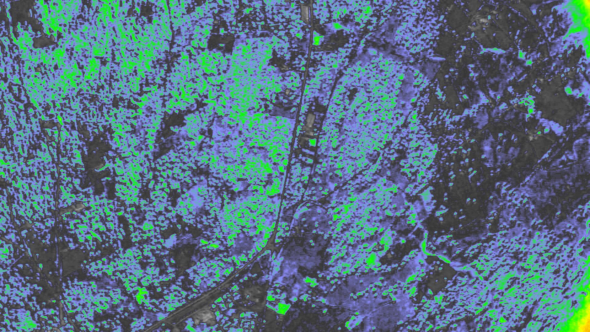 NDVI