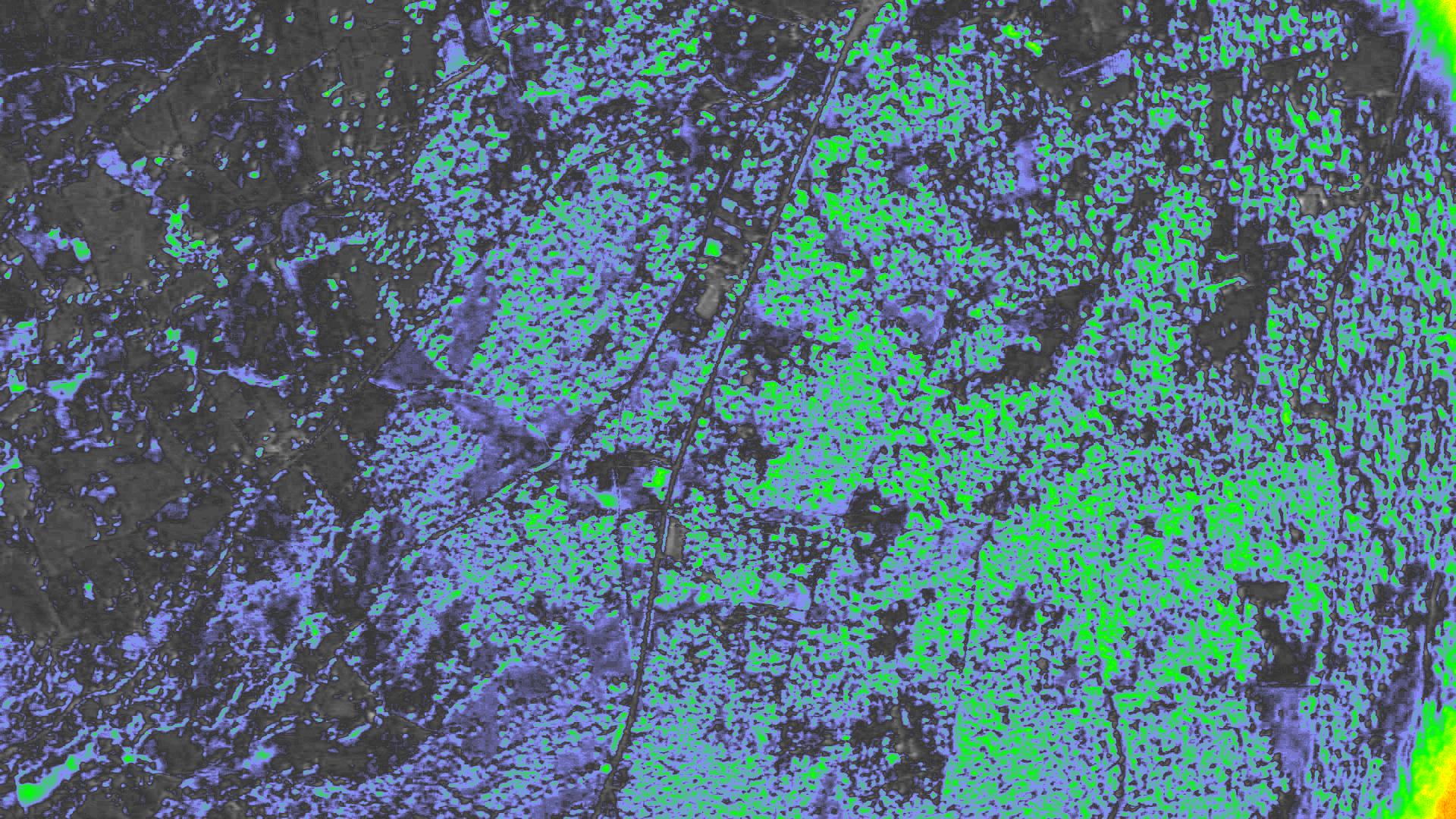 NDVI