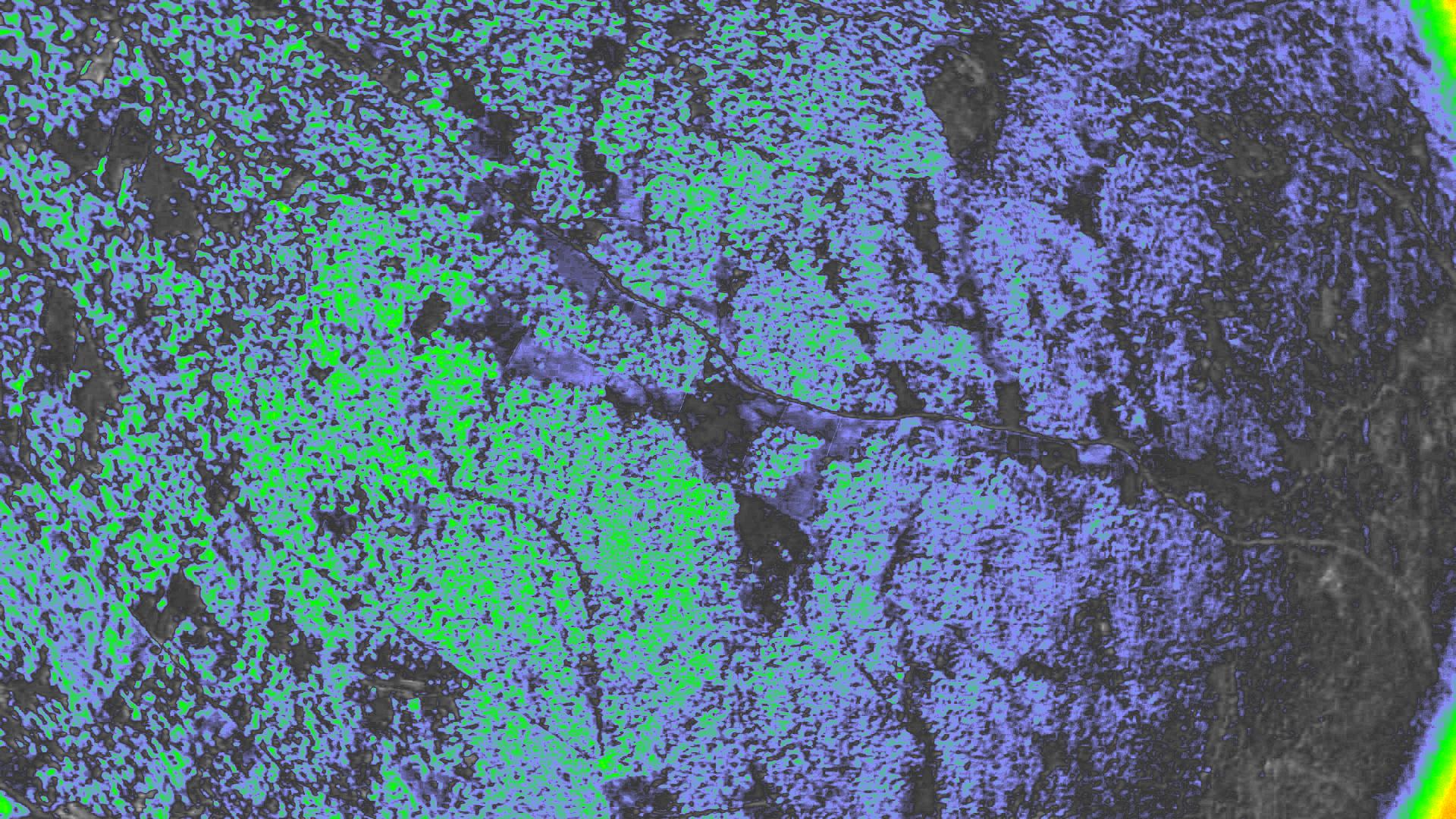 NDVI