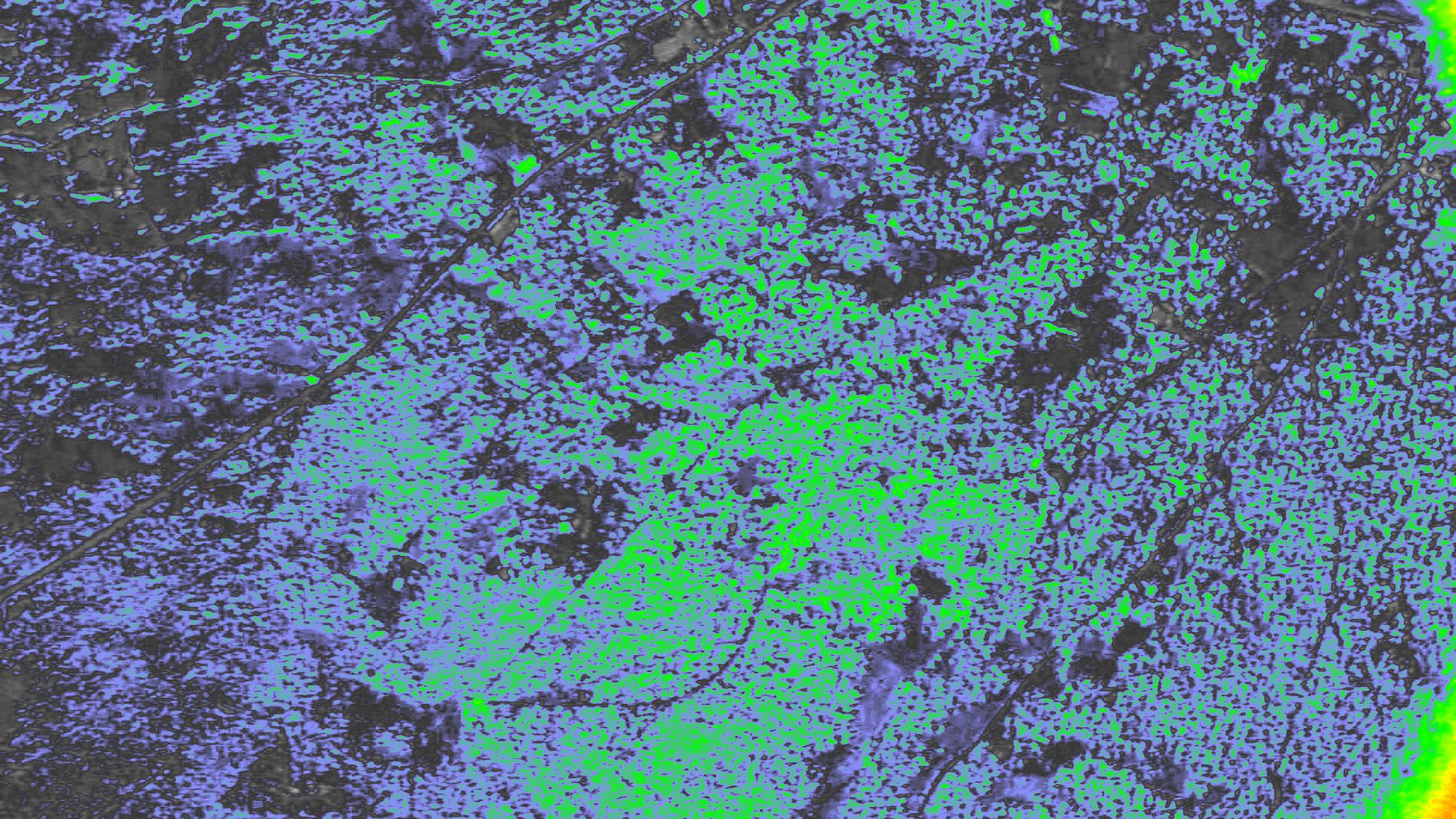 NDVI
