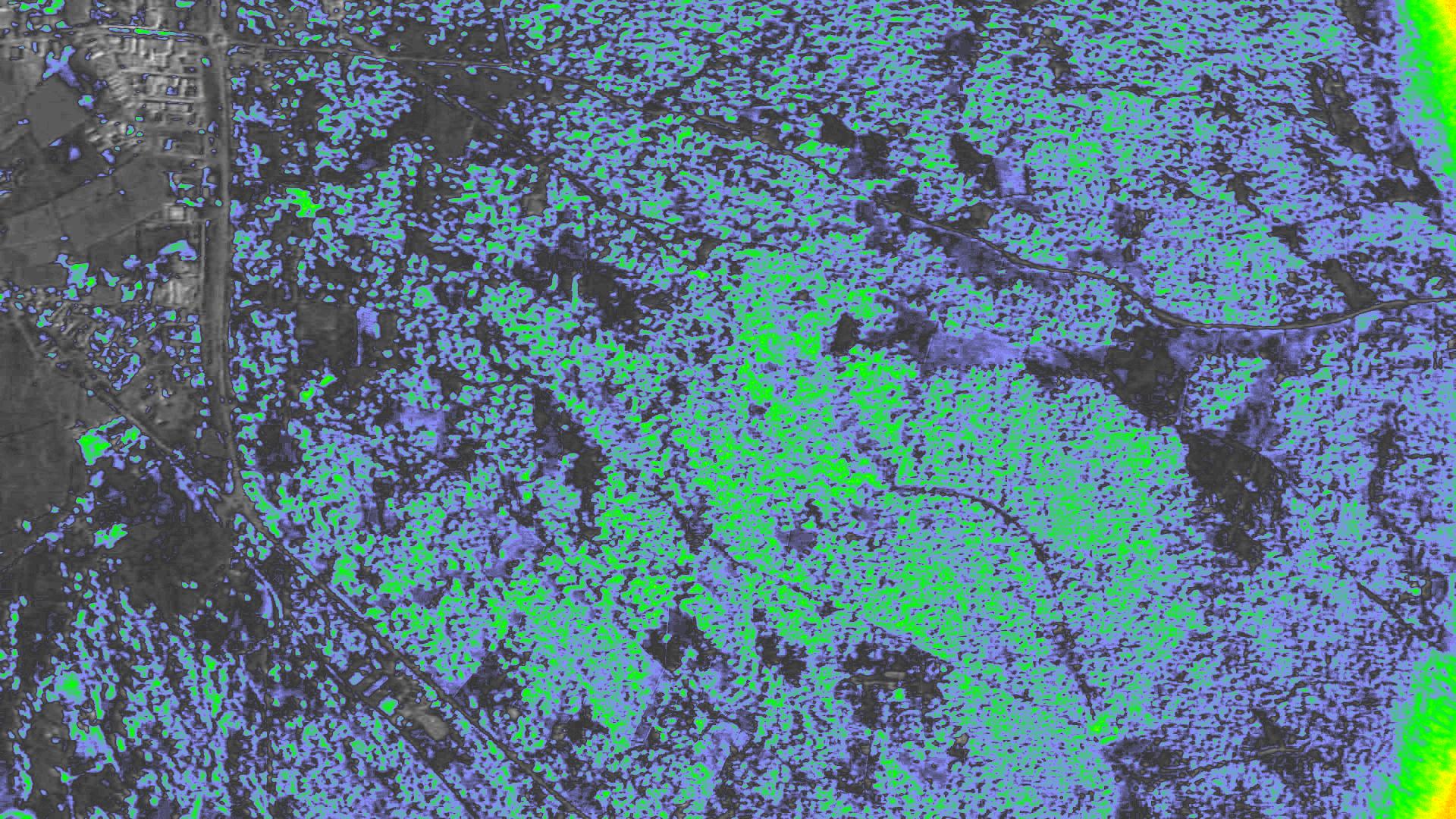 NDVI