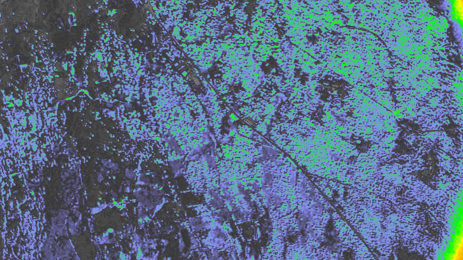 NDVI