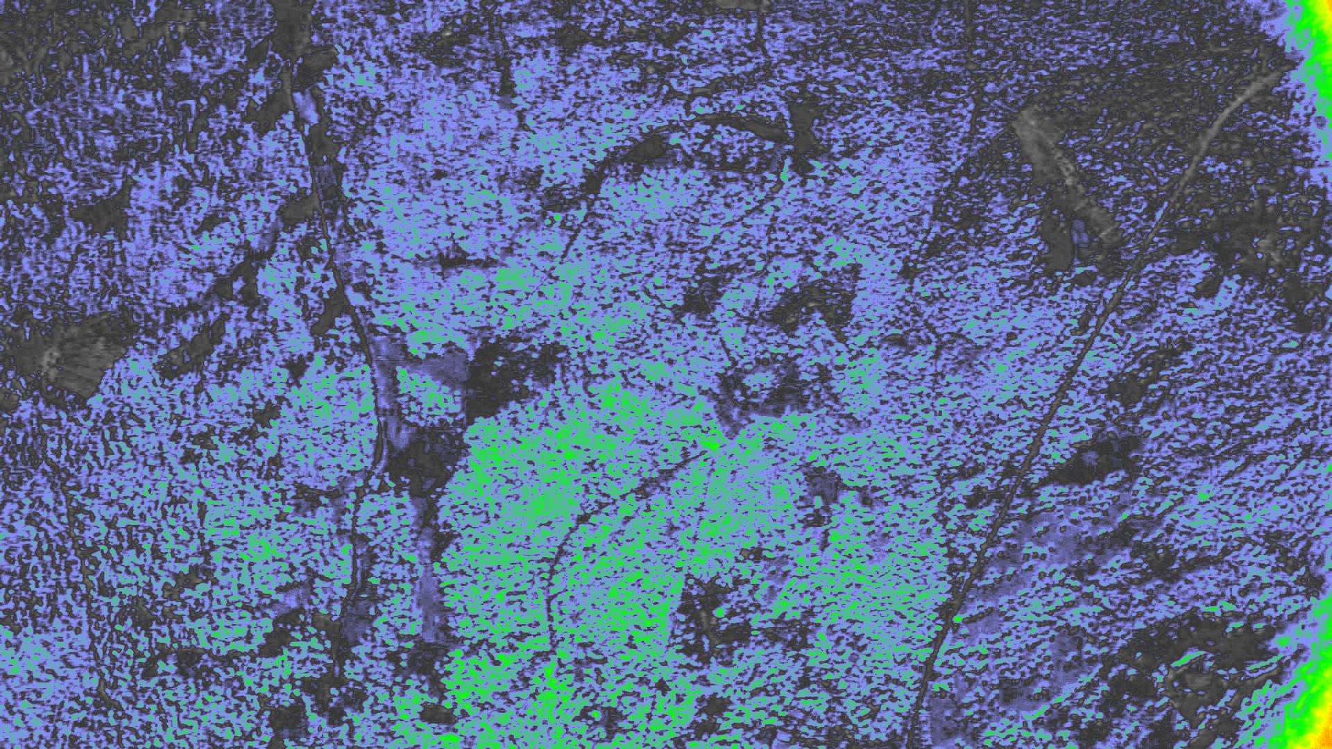 NDVI
