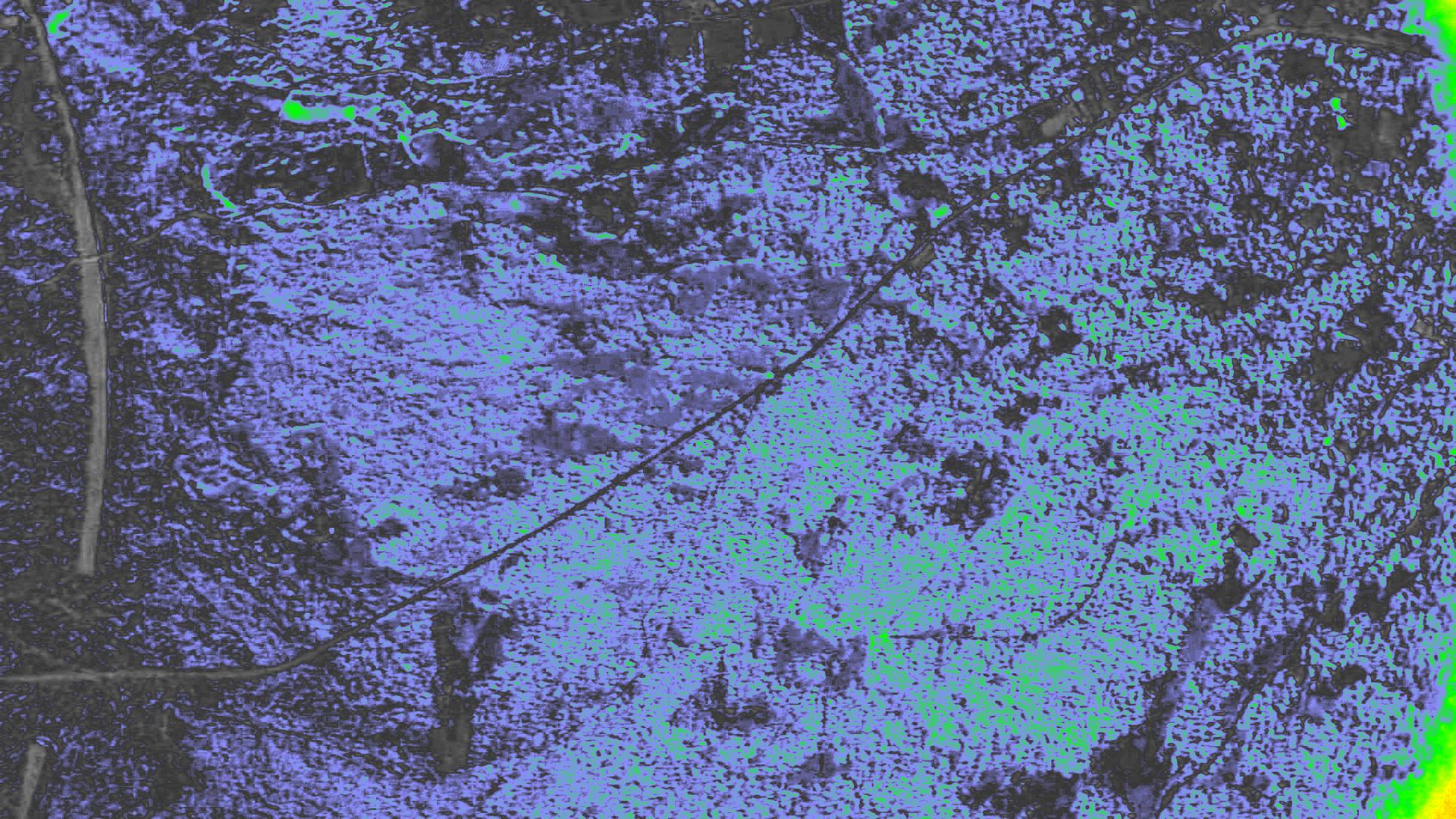 NDVI