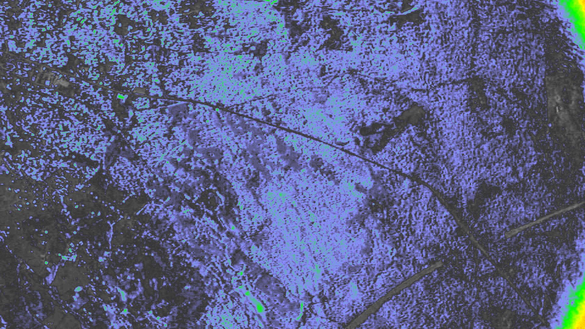 NDVI