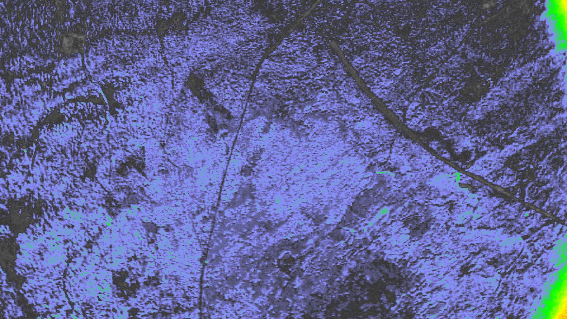 NDVI