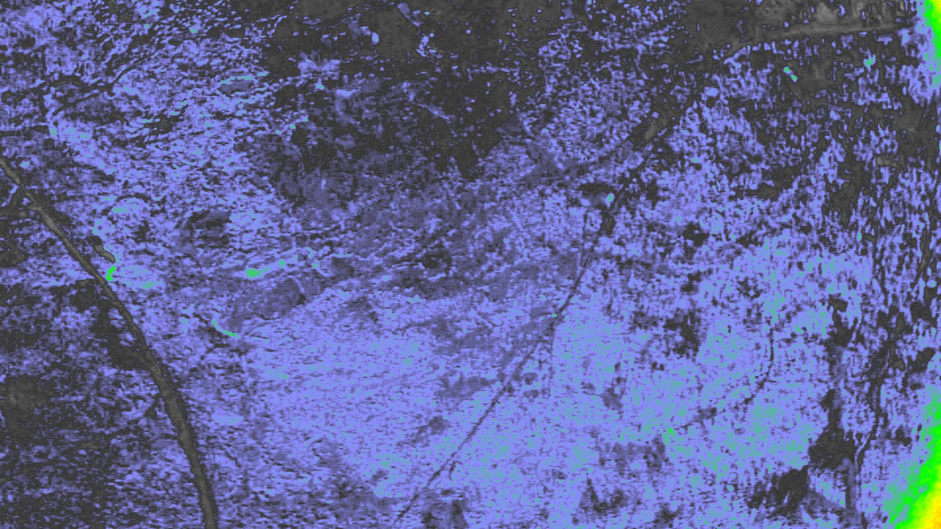 NDVI