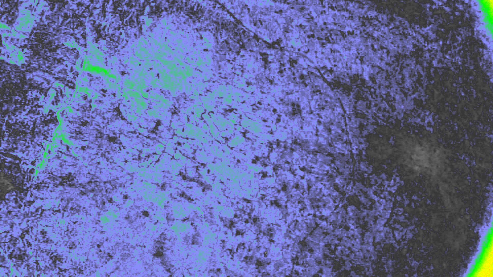 NDVI