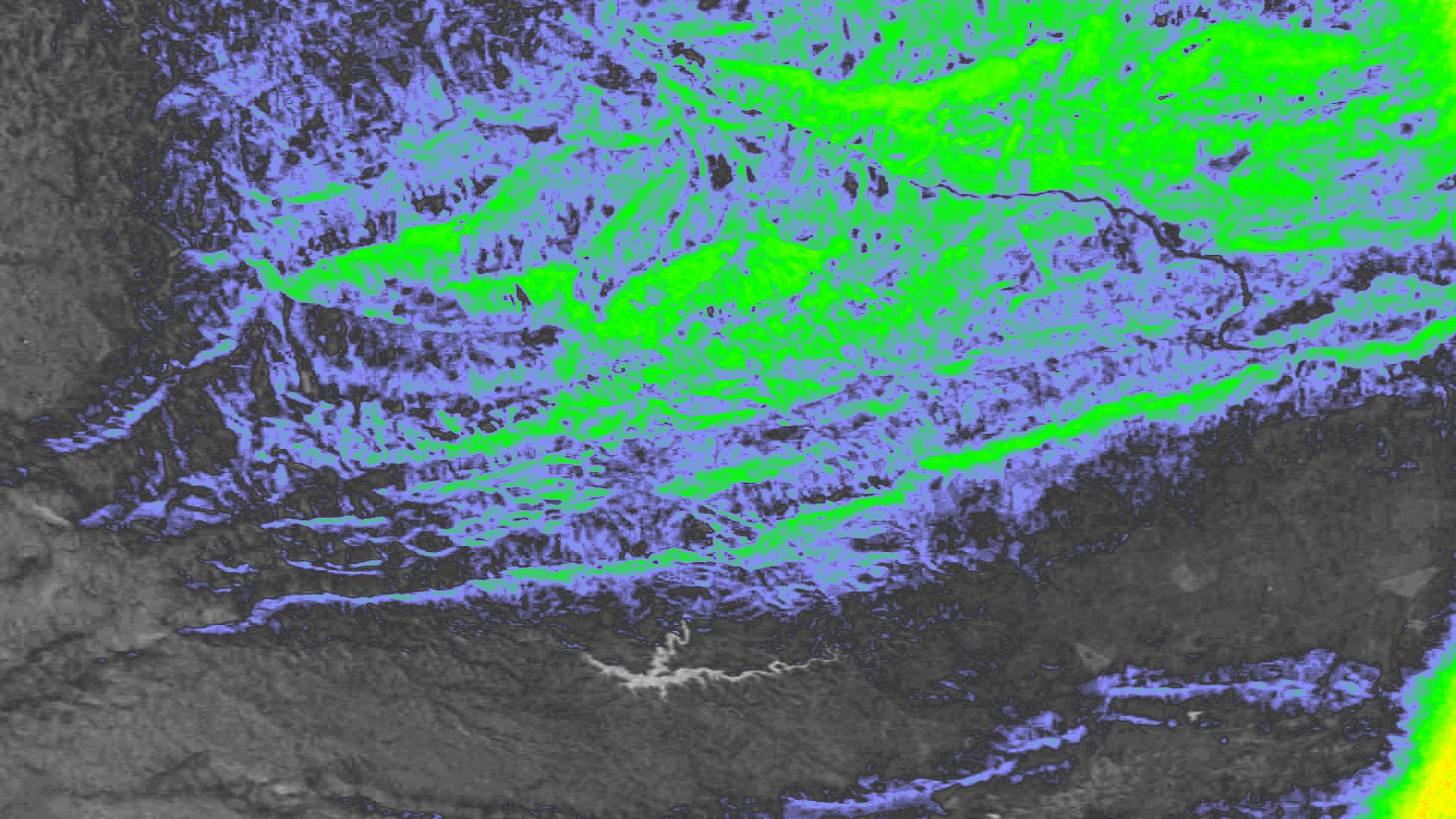 NDVI