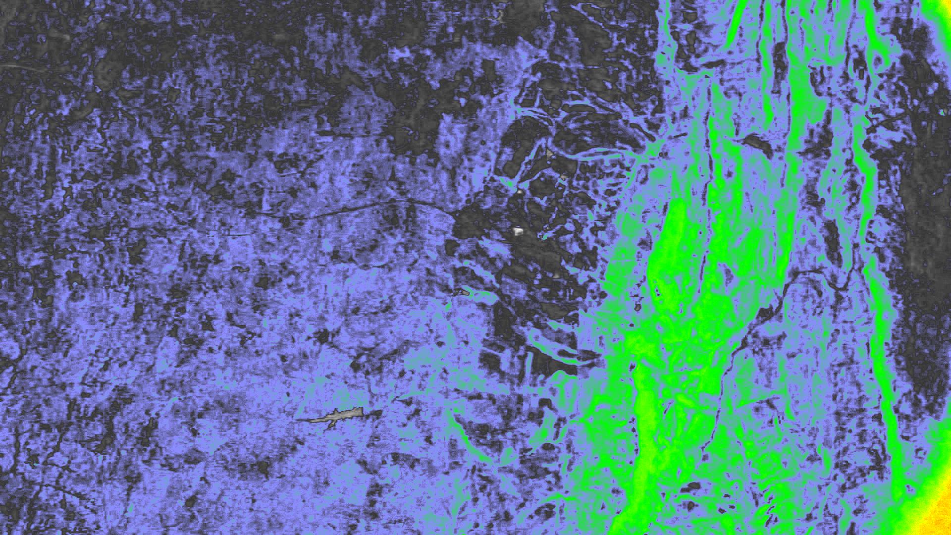 NDVI