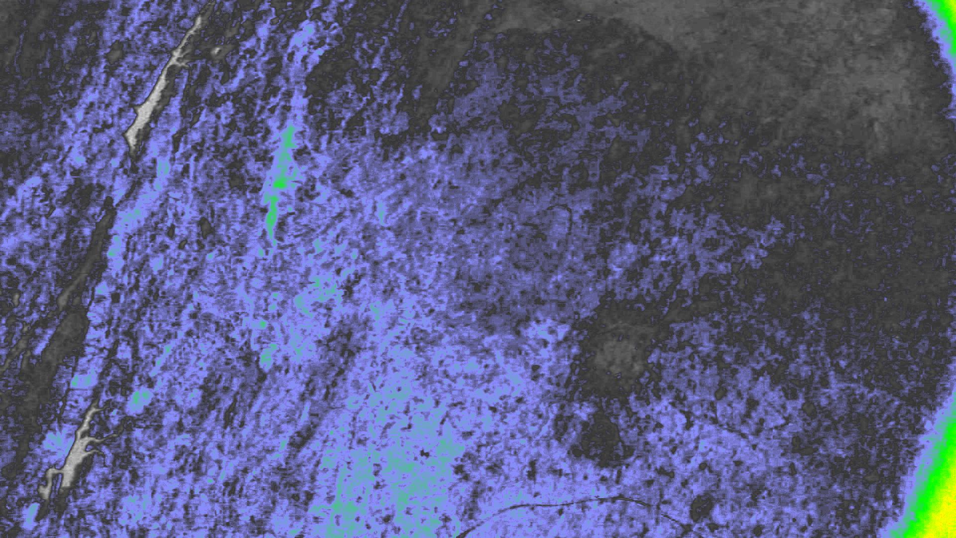NDVI