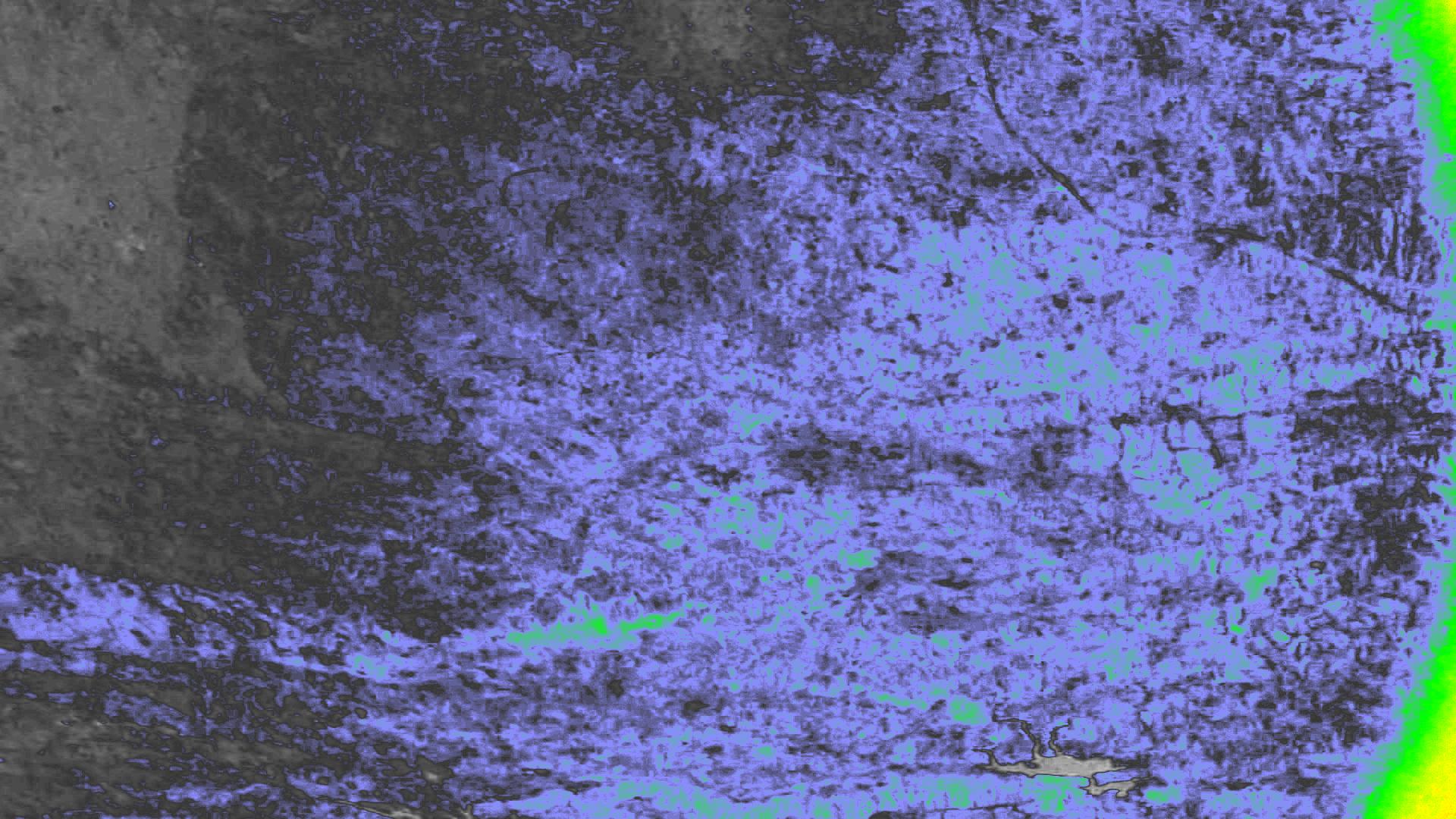 NDVI