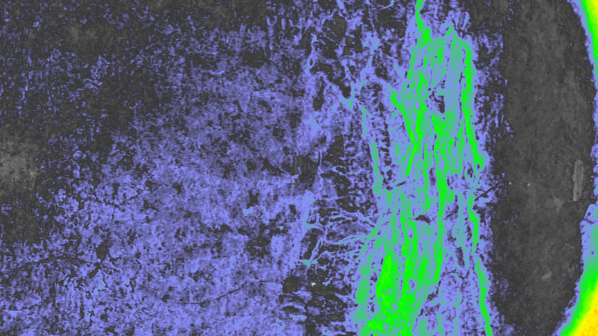 NDVI