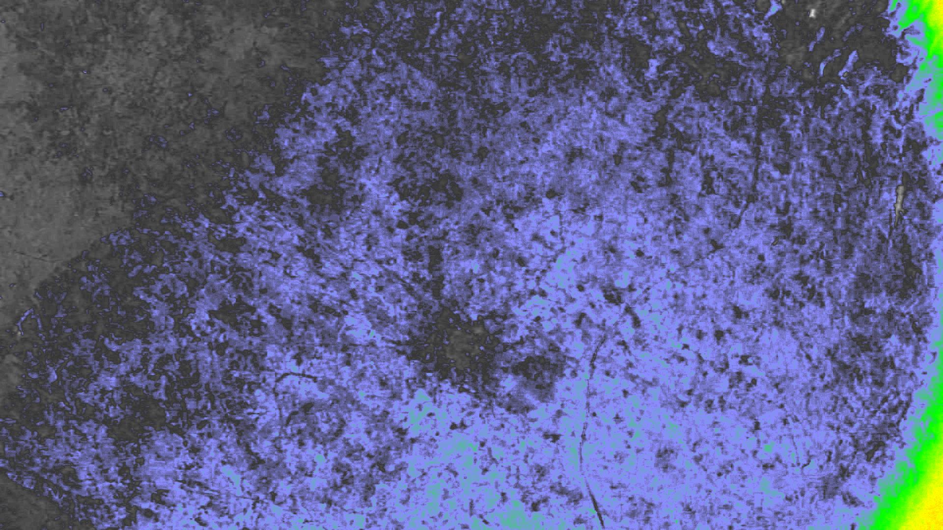NDVI