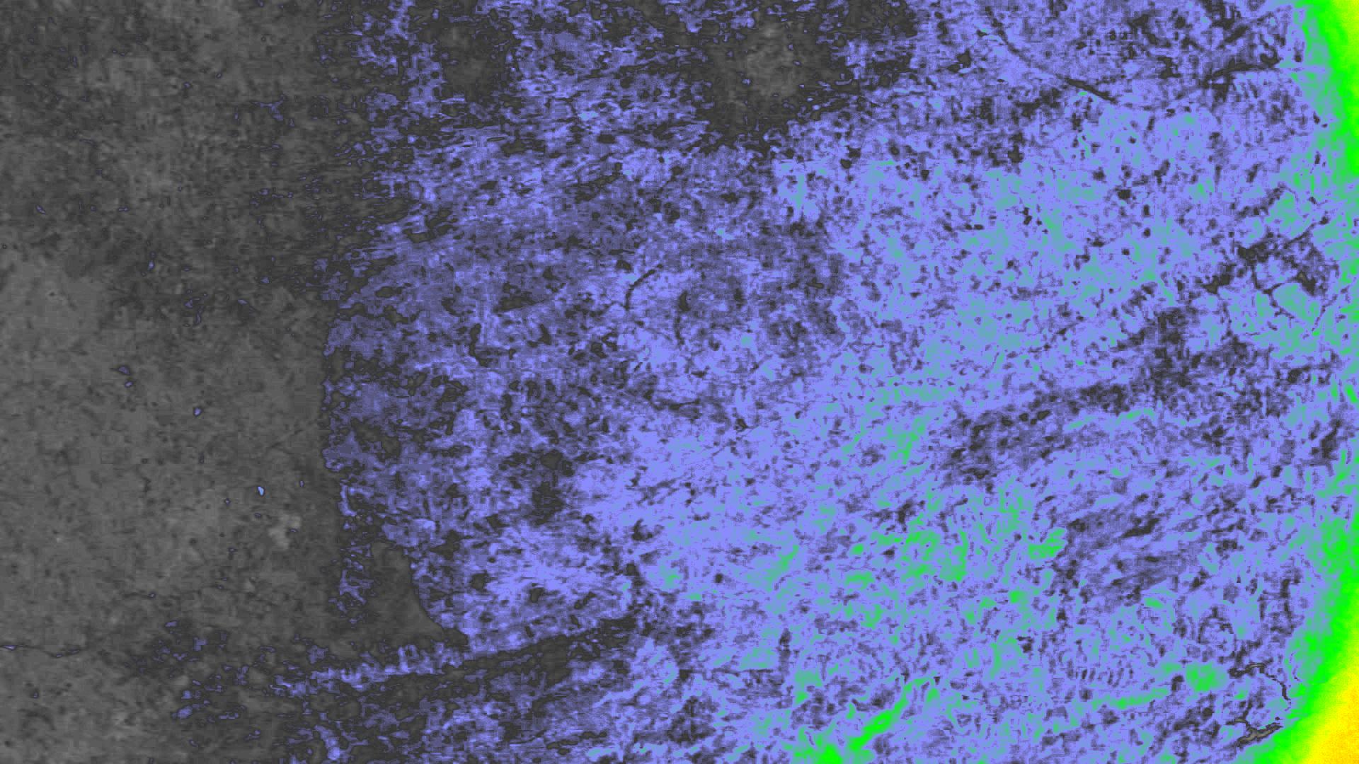 NDVI