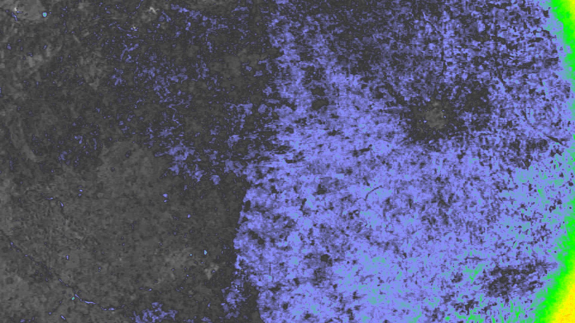 NDVI