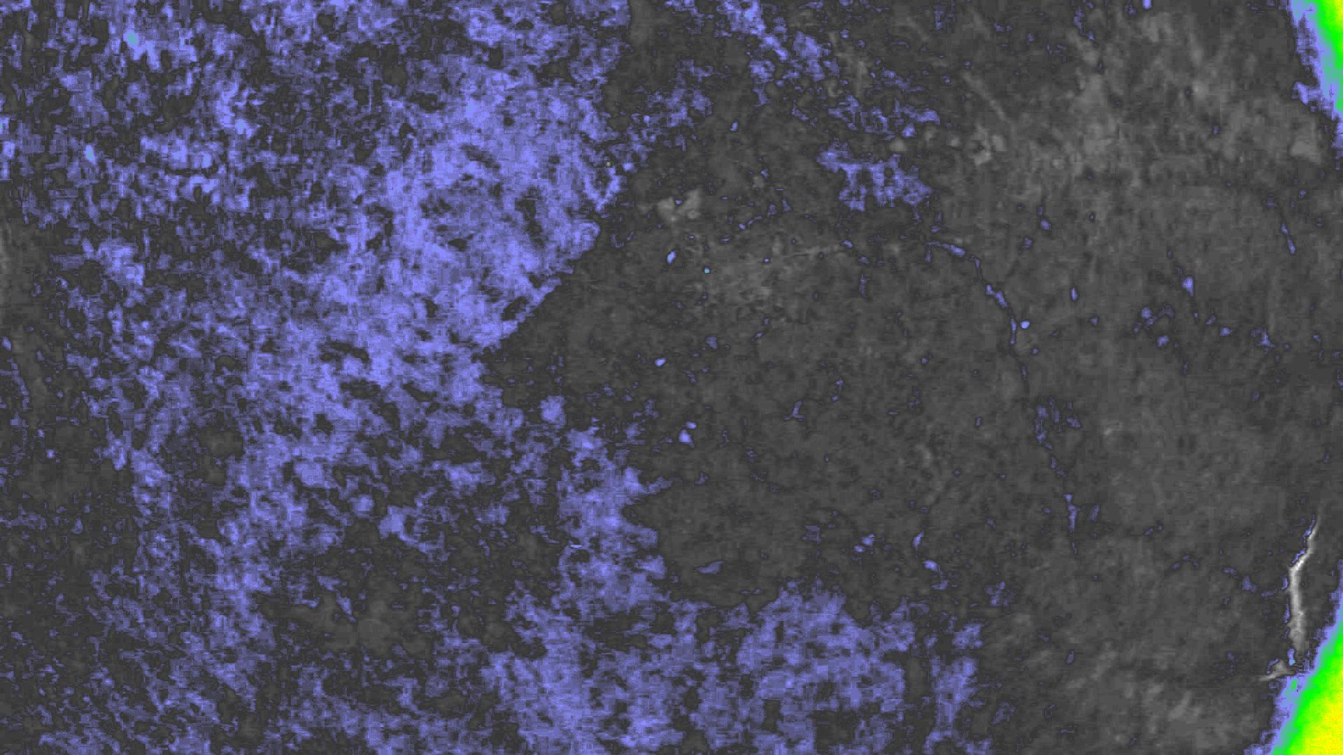 NDVI