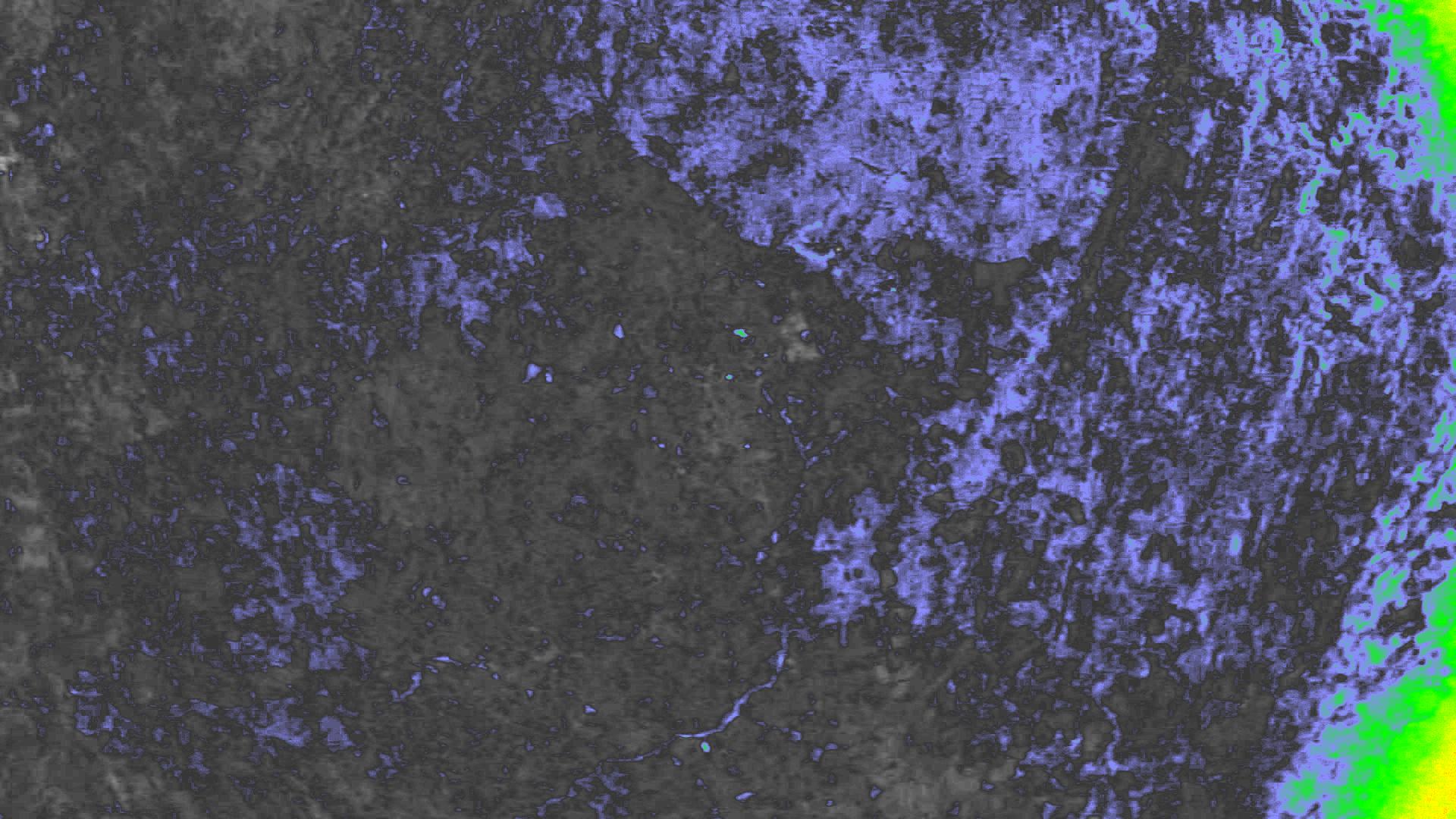 NDVI