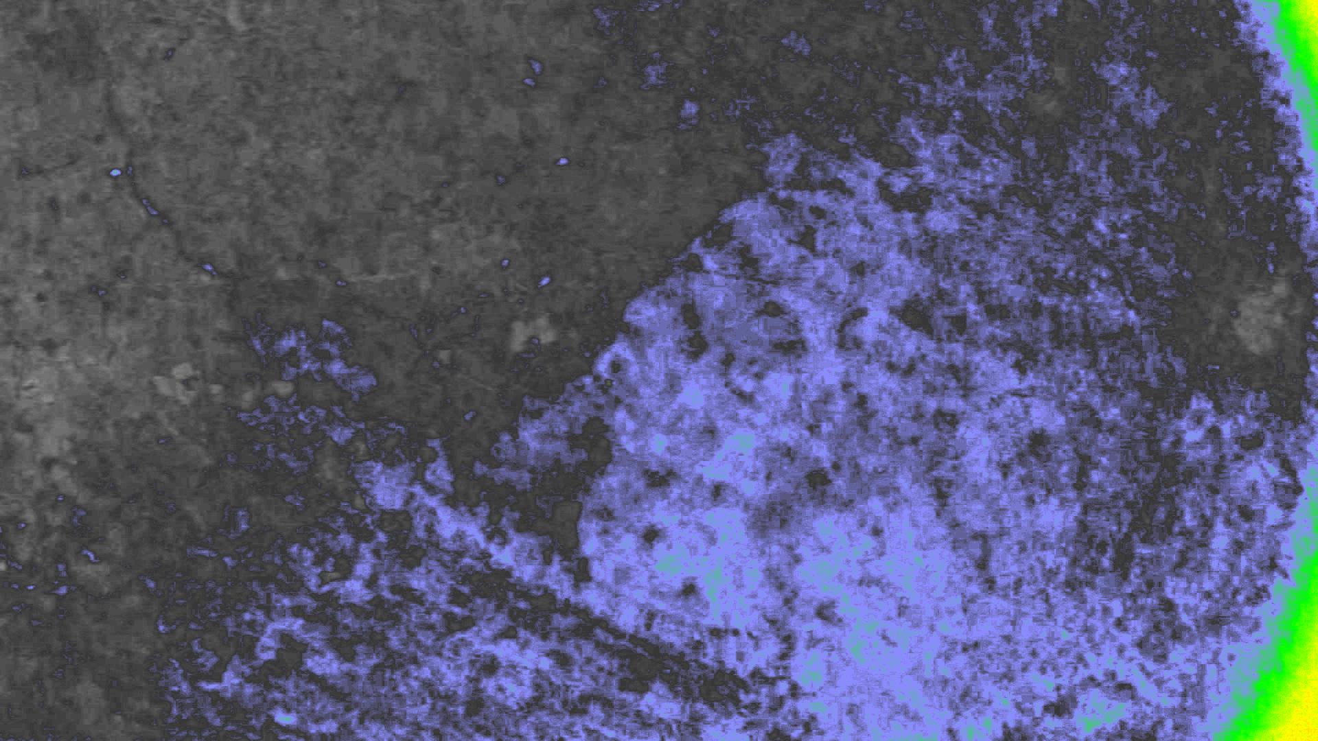 NDVI