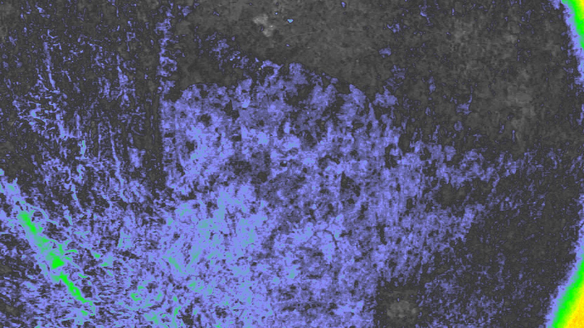 NDVI
