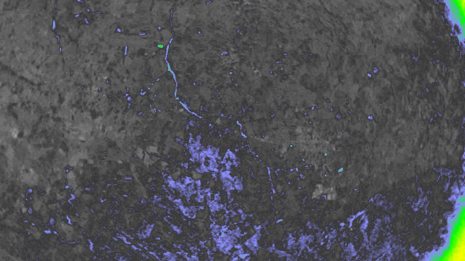 NDVI