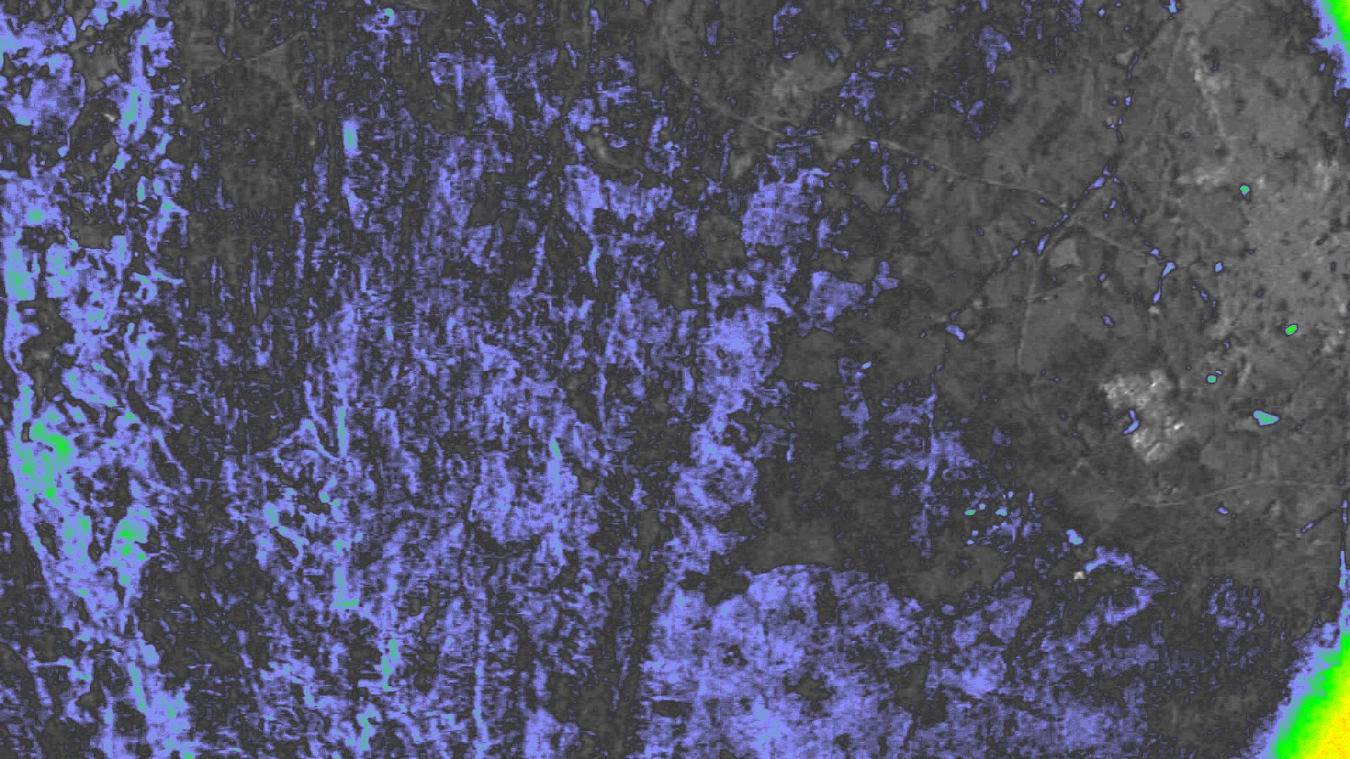 NDVI