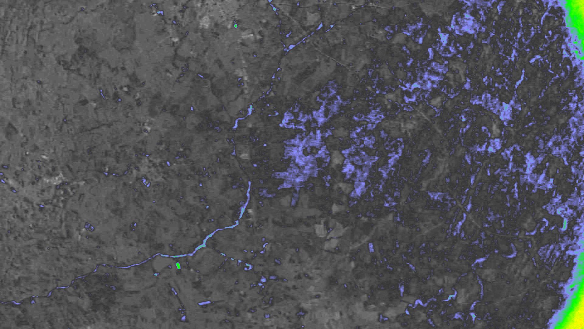 NDVI