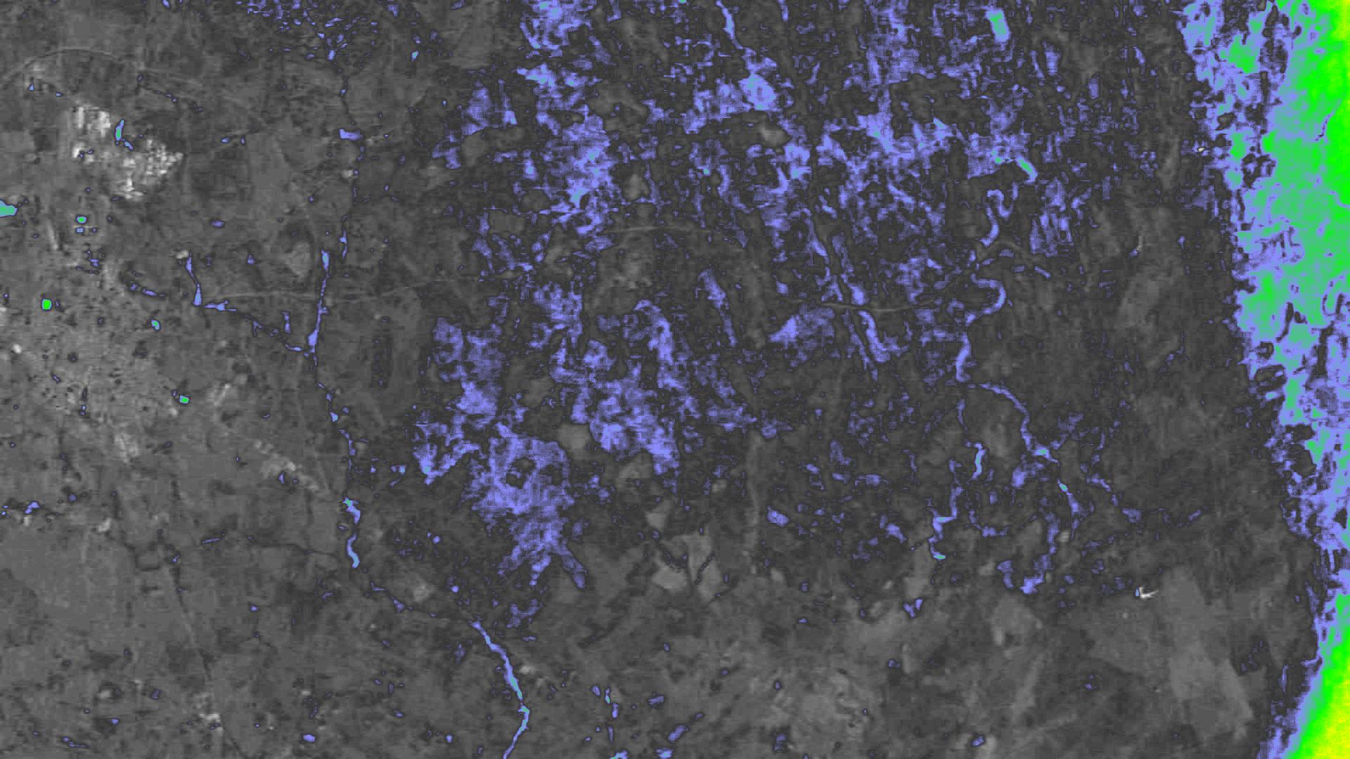 NDVI