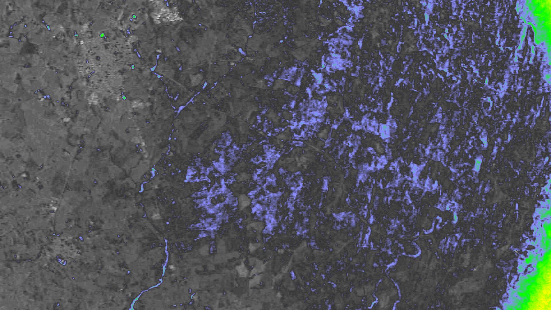 NDVI