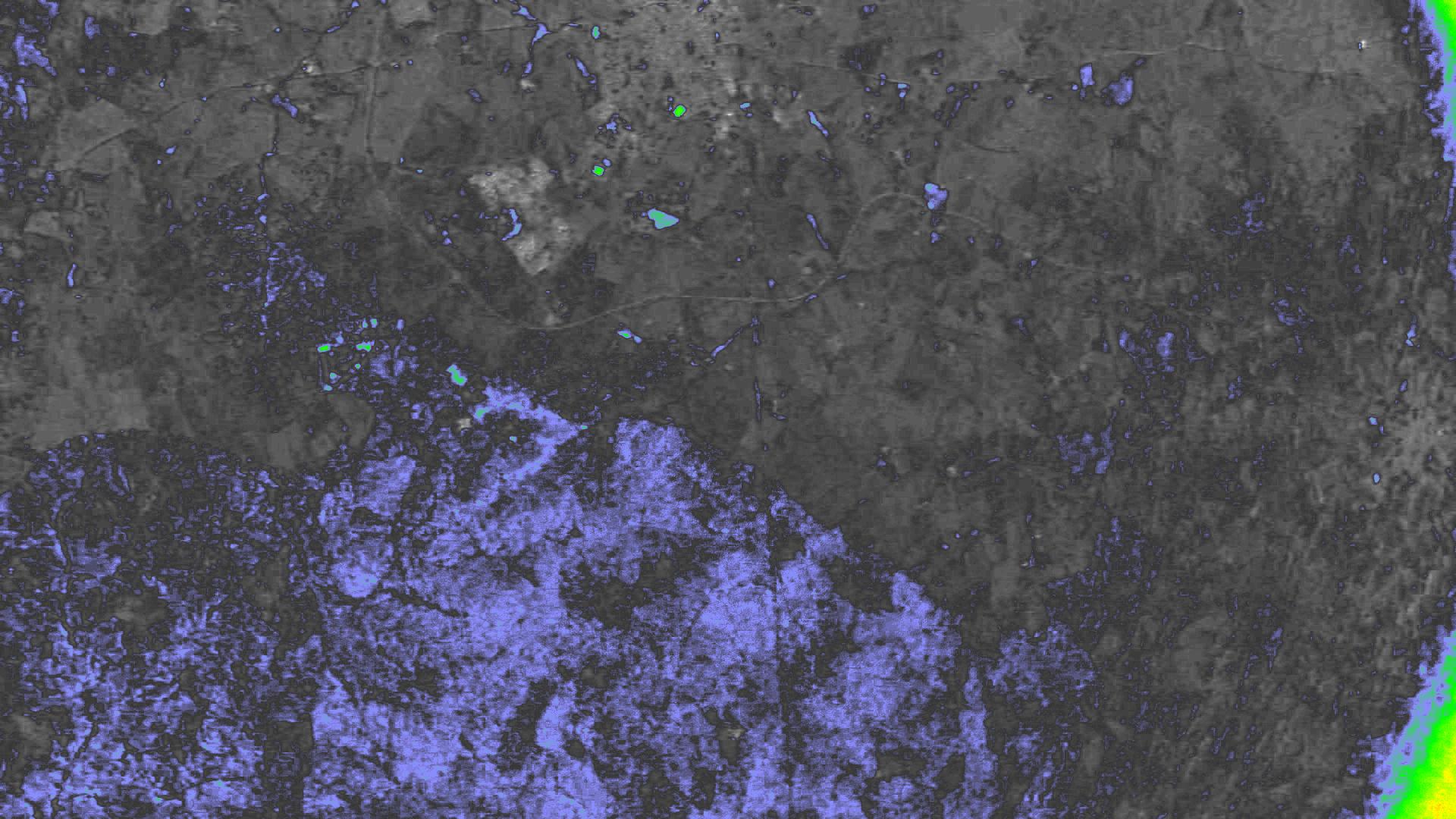 NDVI