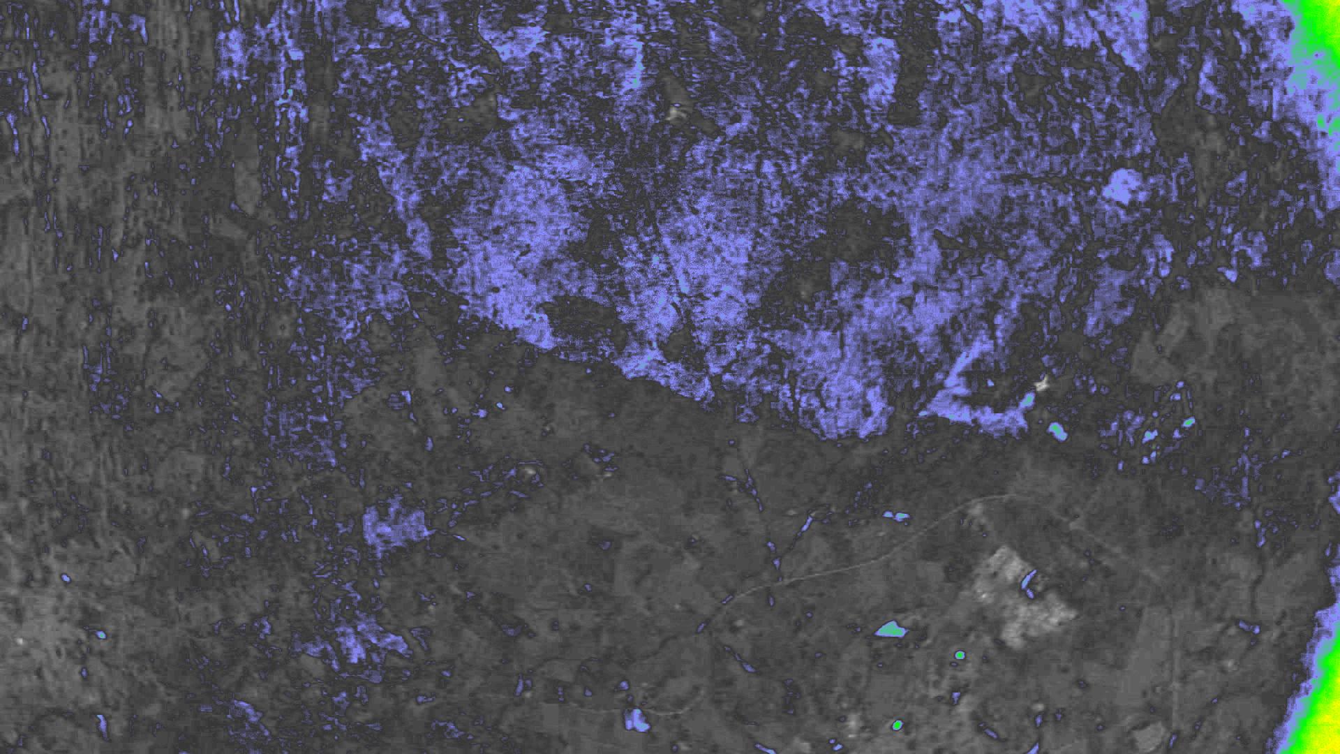 NDVI