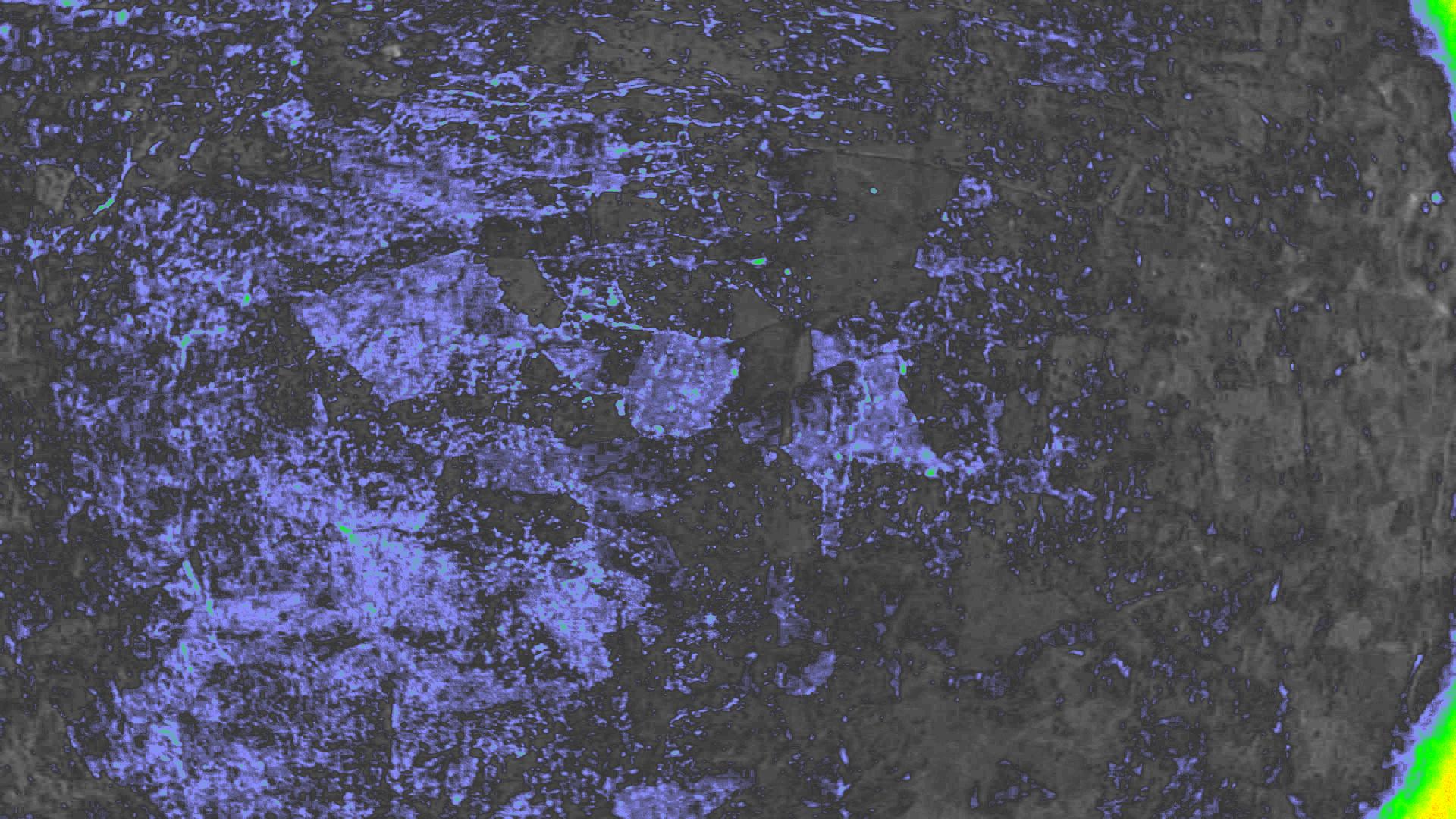 NDVI