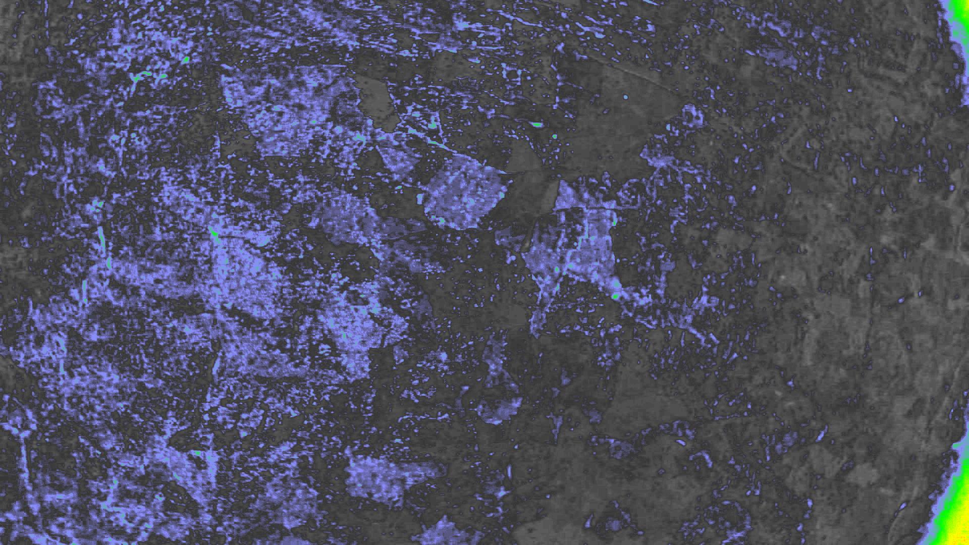 NDVI