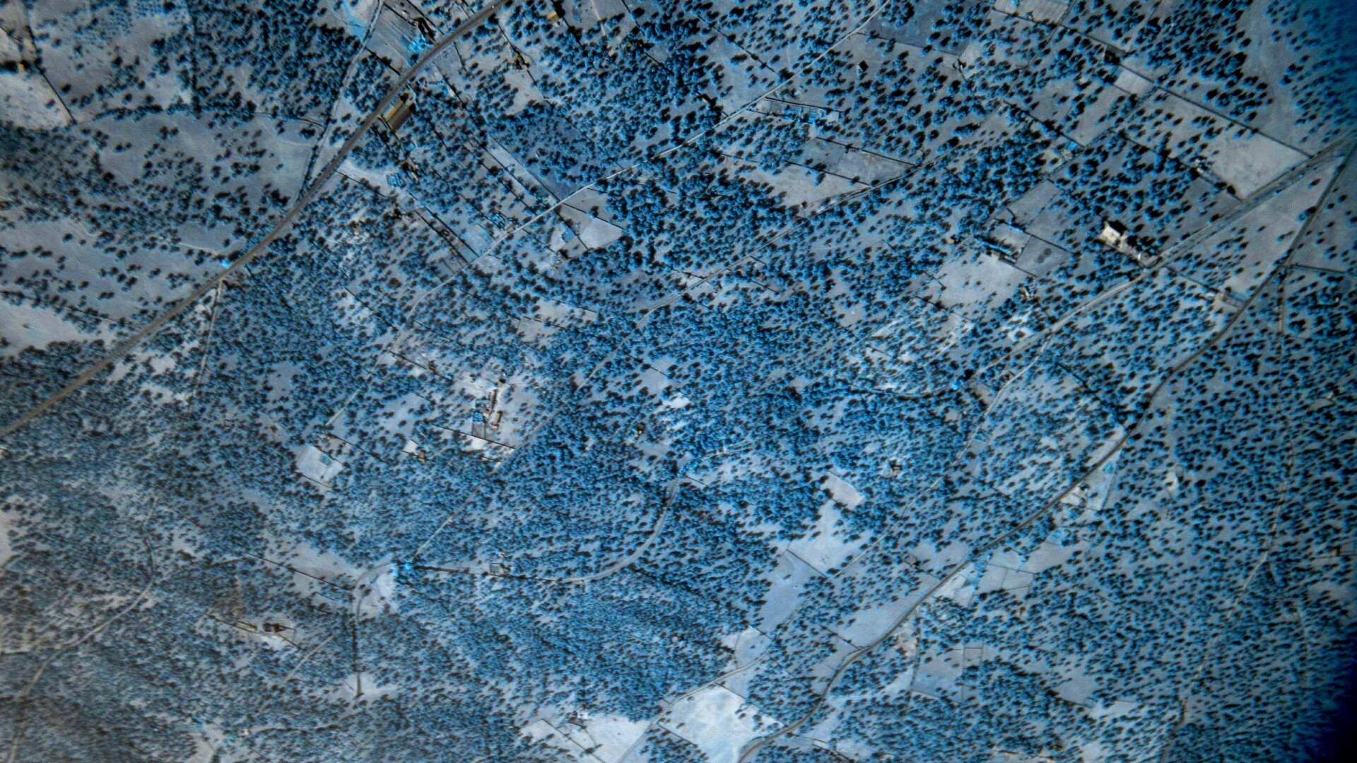 NIR