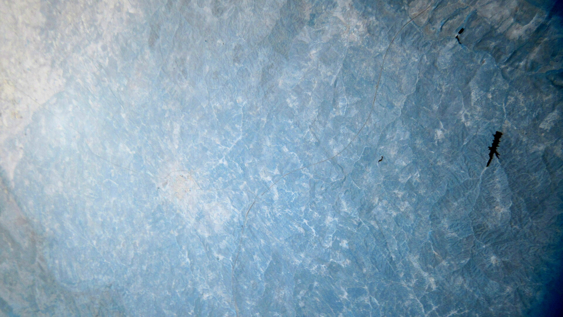 NIR